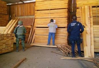 México impide ingreso de madera de Estados Unidos con plagas