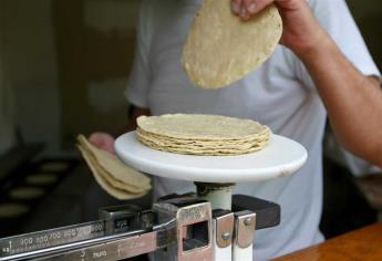 No habrá aumento a la tortilla en lo que resta del 2017