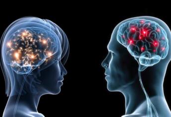 Cerebro de la mujer madura más rápido que el del hombre