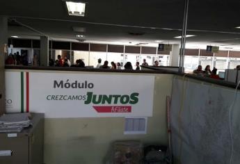 Dejan sin quincena y aguinaldo a trabajadores de Afíliate