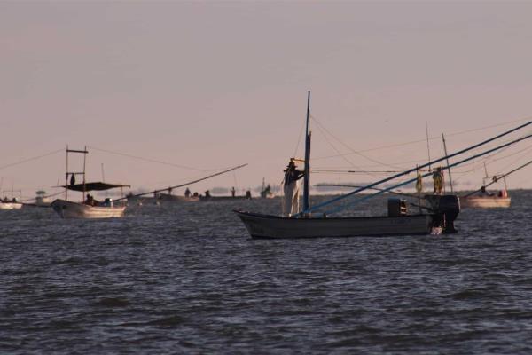 Este 11 de septiembre se levanta veda en norte y centro de Sinaloa