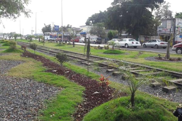 Embellecen 15 cruceros de Los Mochis