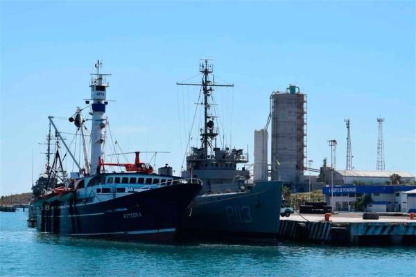 Barco atunero paga multa de 3.6 mdp por pescar en área protegida