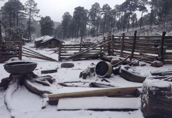 Marca termómetro 11 grados bajo cero en La Rosilla, Durango