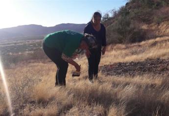 Las Rastreadoras de El Fuerte hallan más osamentas, ahora en Sonora