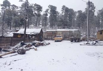 Registran 17 grados bajo cero en La Rosilla, Durango