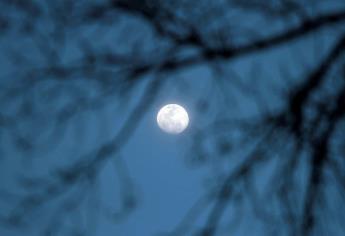 Eclipse de Luna, de los fenómenos astronómicos más esperados