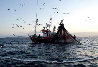 Captura de sardina cae por cambio climático en Golfo de California