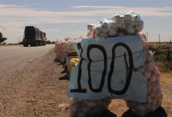 Para llorar el precio de la cebolla: $1.30 el kg en el campo