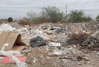 Basura, escombro y hasta animales muertos predominan en la Tepeca