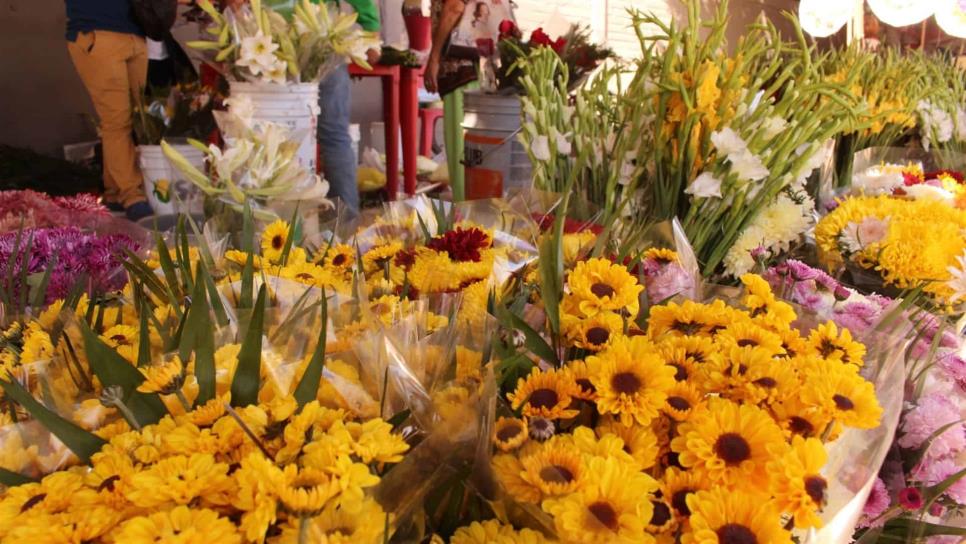 Acuerdan precios de flores para venta de Día de Muertos | Luz Noticias