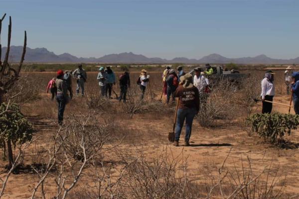 Reportan 12 nuevas desapariciones ante Las Rastreadoras