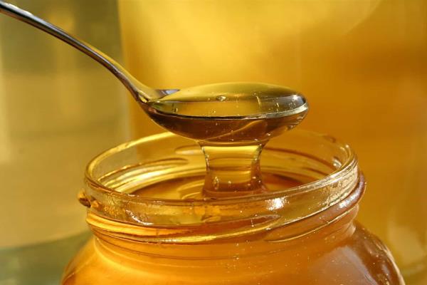 Aumenta 34 por ciento producción de miel mexicana