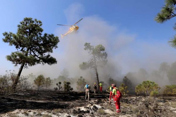 Más de 10 mil has sinisestradas por incendios forestales en 2018