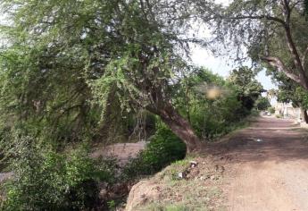 Piden bardas en algunas partes de los márgenes del arroyo Jabalines