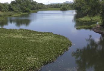 Sin elementos de riesgo a la salud en aguas del río Fuerte