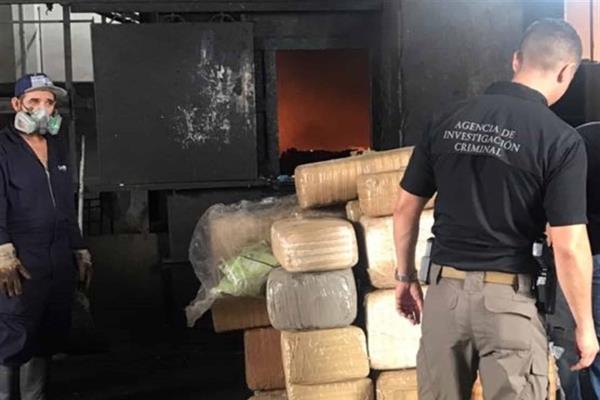Queman más de media tonelada de droga