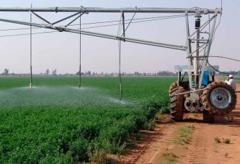 Riego tecnificado, alternativa de ahorro de agua en agricultura