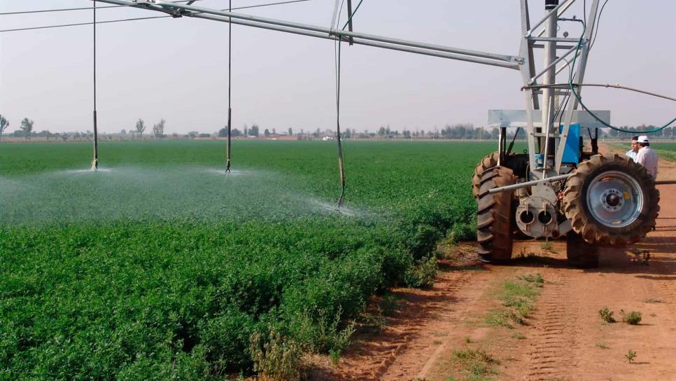 Secretaría de Agricultura promueve tecnificación de riego