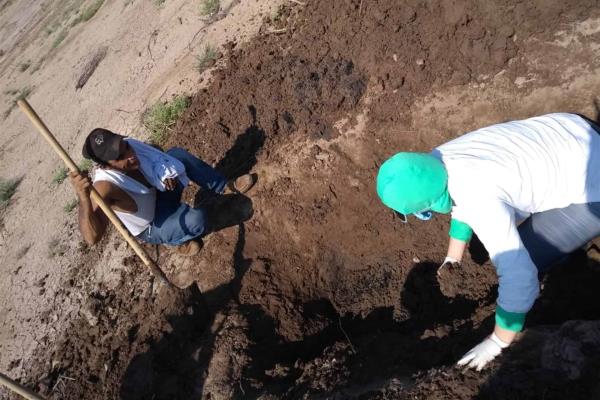 Encuentran seis cuerpos en fosas clandestinas en La Robalera