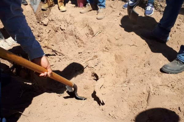 Halladas 594 fosas clandestinas durante actual gobierno: Encinas