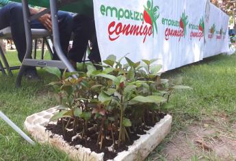 Inicia el reto de donar semillas para reforestar Los Mochis