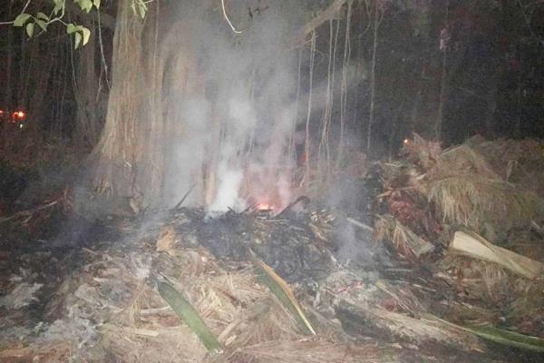 Incendian árbol Banyán en el Parque Sinaloa