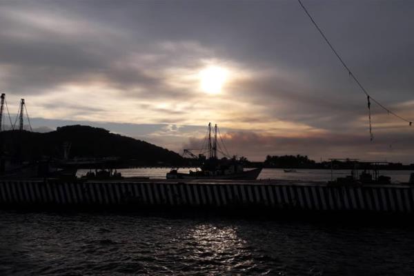 Más de 500 barcos iniciarán la pesca del camarón de altamar