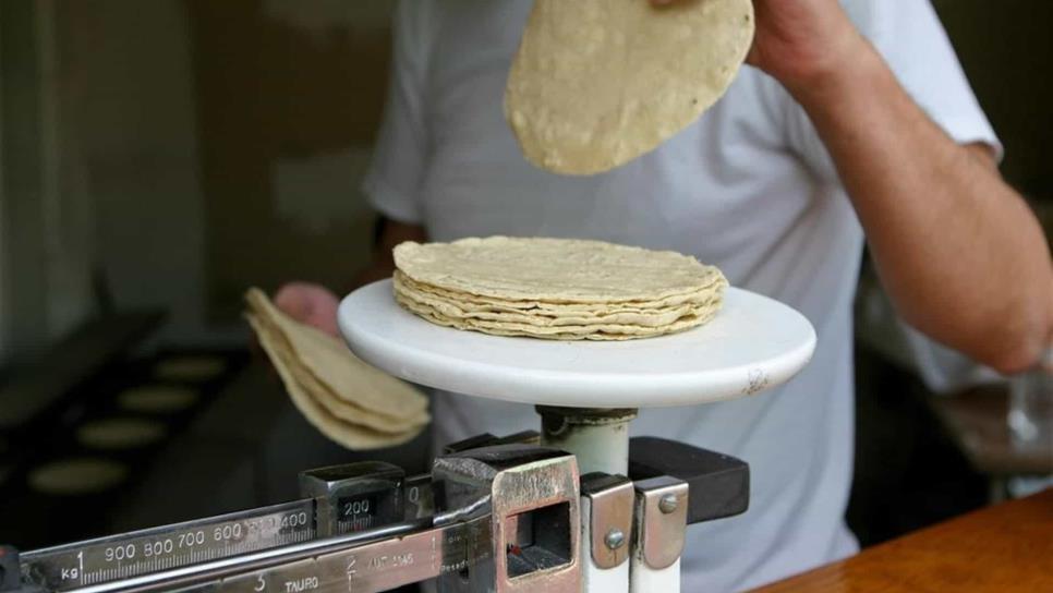 Precio de la tortilla podría subir en Sinaloa