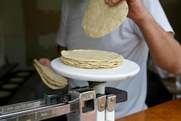 Prevén un incremento en precio de la tortilla por Ley maíz nativo