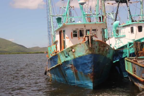 Reportan pescadores “capturas favorables” de camarón