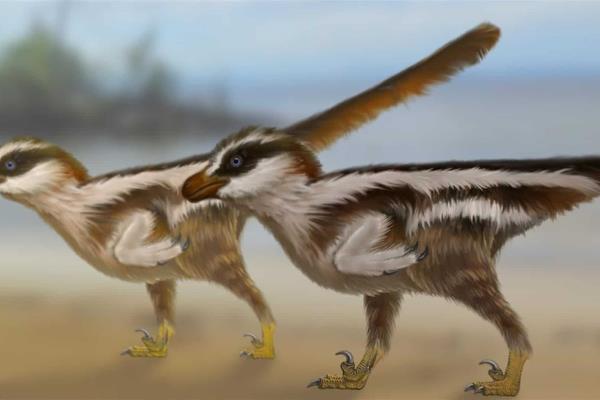 Descubren huellas de dinosaurio más pequeñas del mundo