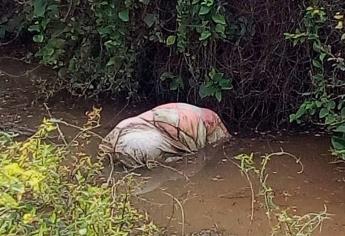 Reportan dos embolsados y resulta ser basura