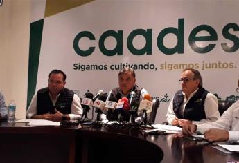 Gobierno Federal busca desmantelar agricultura comercial: CAADES