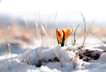 Hoy inicia el solsticio de invierno, la temporada más fría del año