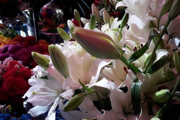 Cierra el año floristas con 25% menos en sus ventas