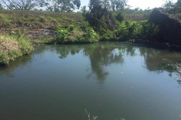 Liberan ojo de agua campesino cercado por particular en Escuinapa