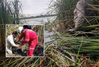 Marina desmantela toma subacuática ilegal en laguna de Tamaulipas