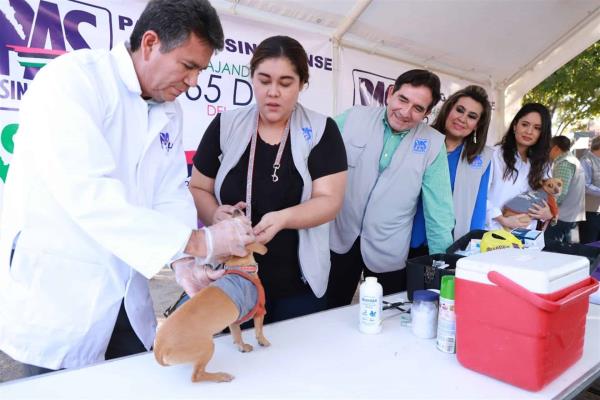 Lleva el PAS programa de atención a mascotas en colonias