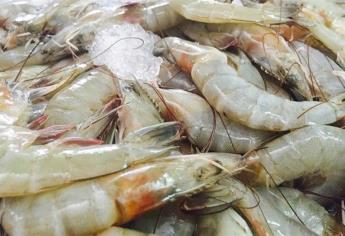 Pescadores exigen reajuste de periodos de veda del camarón