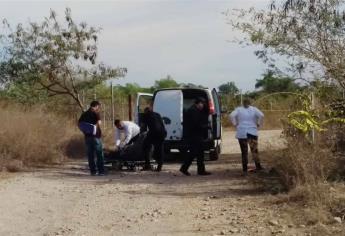 Sinaloa a la baja en delitos de homicidio y robo de vehículo