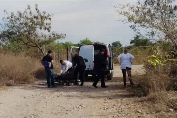 Sinaloa a la baja en delitos de homicidio y robo de vehículo
