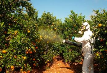 Uso excesivo de plaguicidas agrícolas puede causar cáncer: Coepriss