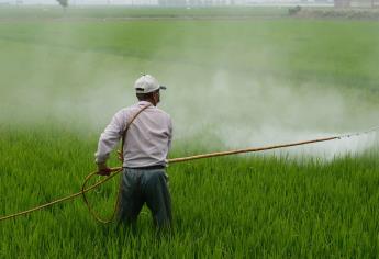 México tendrá Ley de Plaguicidas para favorecer actividad agrícola 