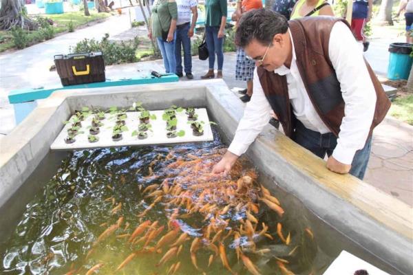 Reporta Acuario Mazatlán finanzas sanas e ingresos crecientes