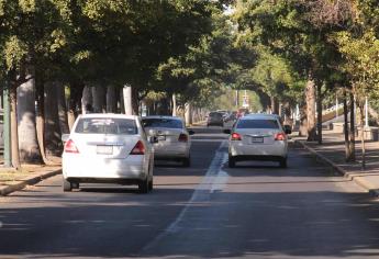 Llaman a no caer en aseguradoras de auto “patito”