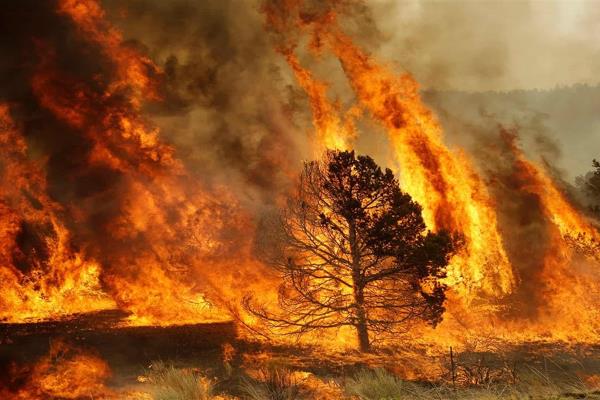 Advierten intensificación de incendios forestales en abril y mayo