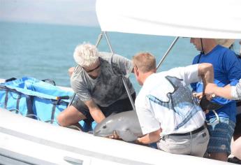 Hábitat de la vaquita marina, Patrimonio Mundial en Peligro: UNESCO