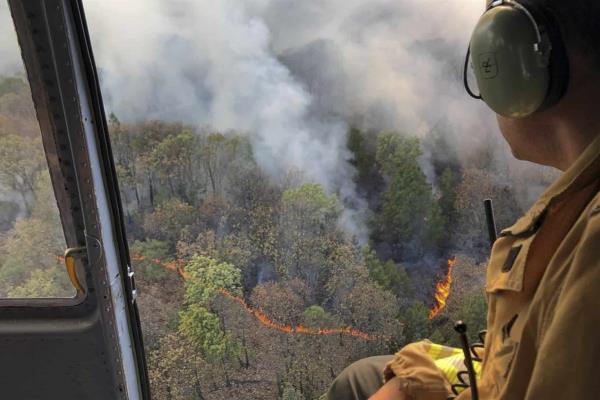 Cifra de incendios forestales de 2019, menor a la de 2017 y 2018