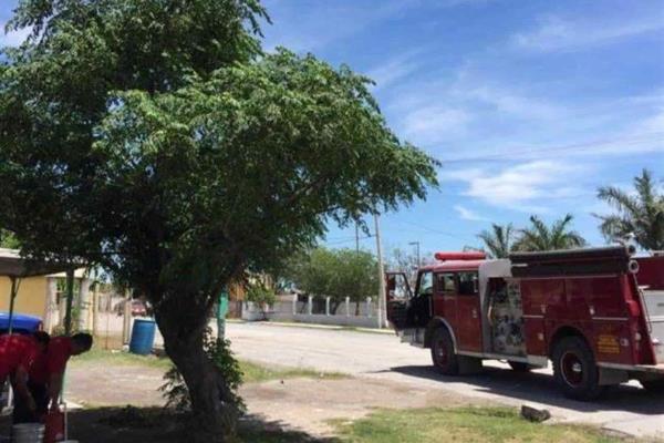 Enjambre de abejas ataca en una primaria del Poblado 5